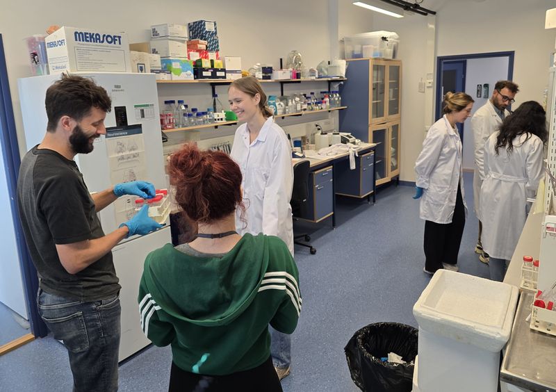 Group members working together in the lab